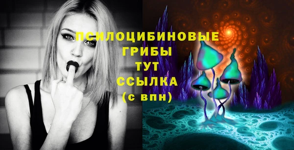 не бодяженный Корсаков