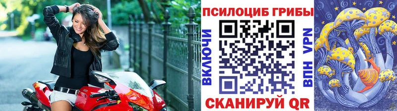 Псилоцибиновые грибы мухоморы  Кропоткин 